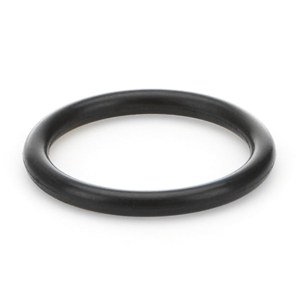 Bert SG O-Ring - 1/8in W - 3/4in ID - 1.00in OD