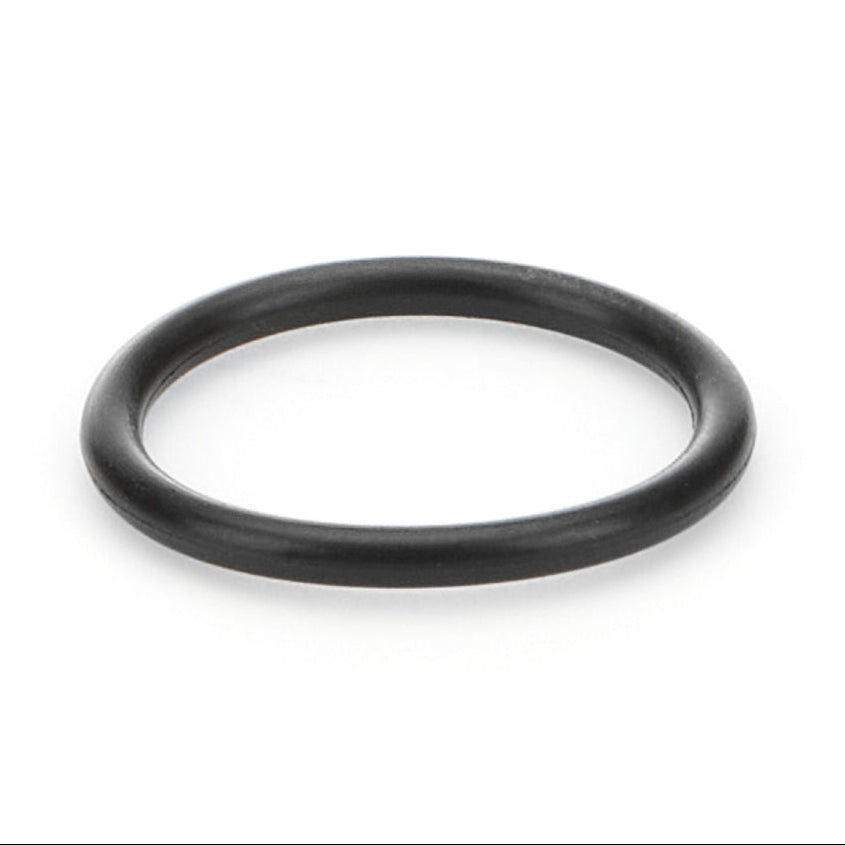 O-Ring Reverse Idler Shaft, Bert SG Transmission