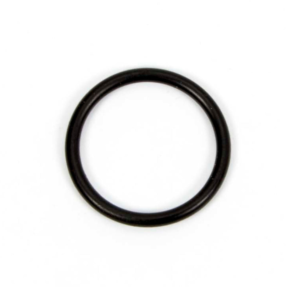 O-Ring for Inspection Plug