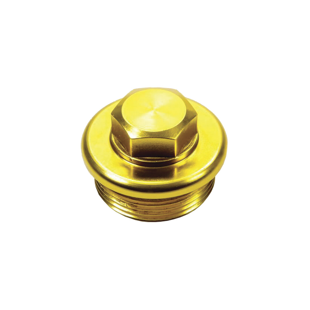 Winters Qc Inspection Plug - 1-5/8-12 20an - Win3261