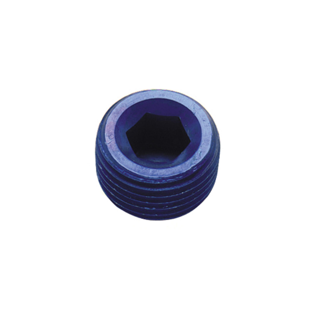 Fragola Mpt Allen Head Plug