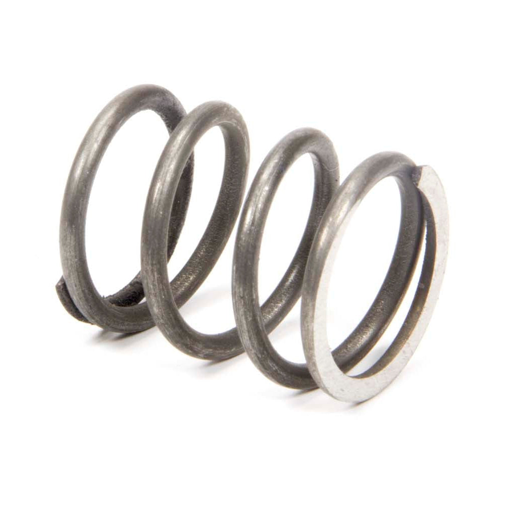 Bert Transmission Spring