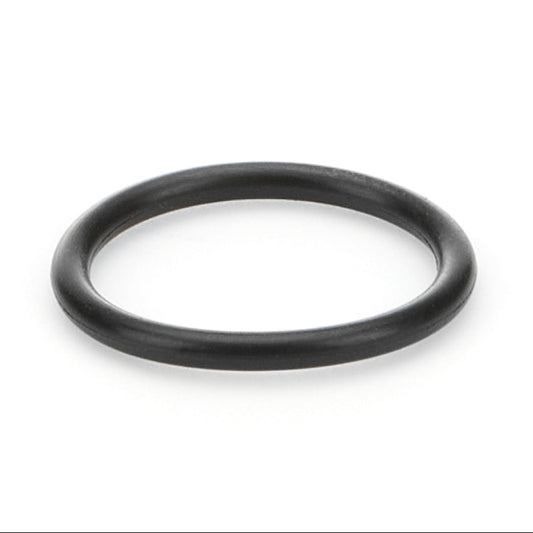 O-Ring Reverse Idler Shaft, Bert SG Transmission
