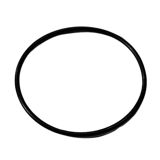 O-Ring B/70, G Valve
