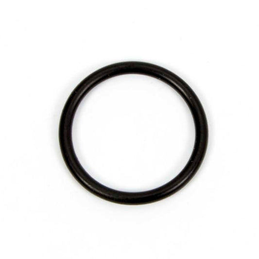 O-Ring for Inspection Plug