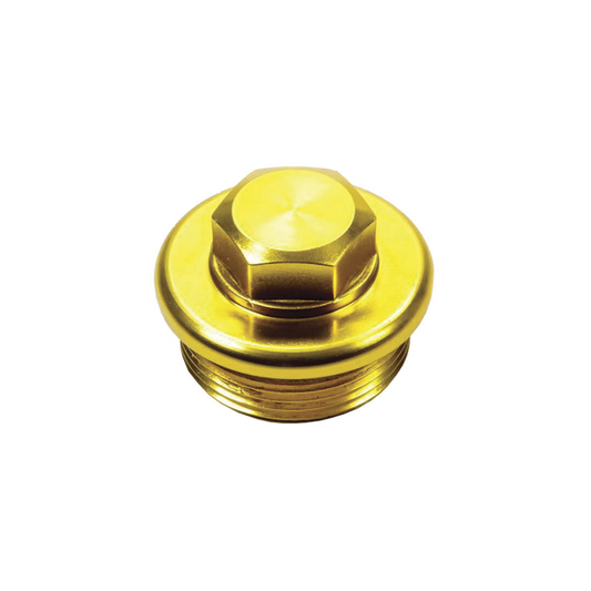 Winters Qc Inspection Plug - 1-5/8-12 20an - Win3261