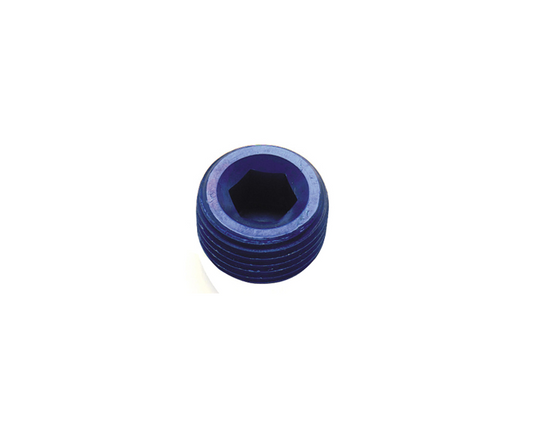 Fragola Mpt Allen Head Plug